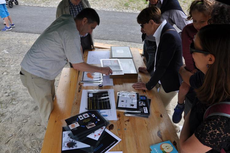 Eröffnung des Landschaftsparks Friedental am Sonntag, 24. Juni 2018