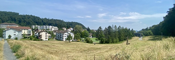 Headerbild Areal «Grenzhof»