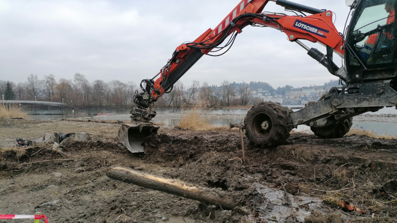 Die Schilfinsel wird mit Bagger abgetragen.