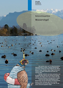 Titelbild Naturschauplätze Wasservögel