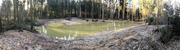 Waldweiher Rotewald. Entstehung