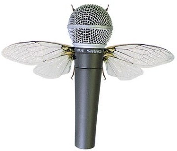Mikrophon