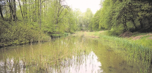 Längweiher