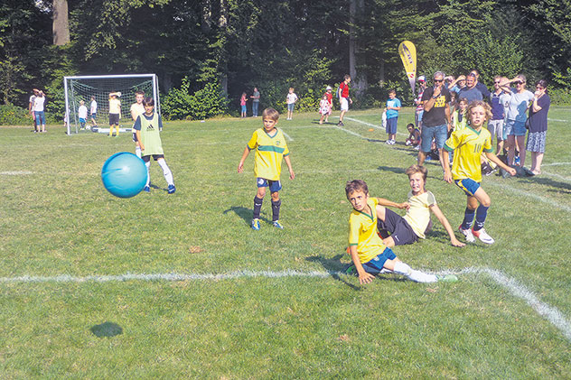 Wesemlin-Quartier im Fussballfieber