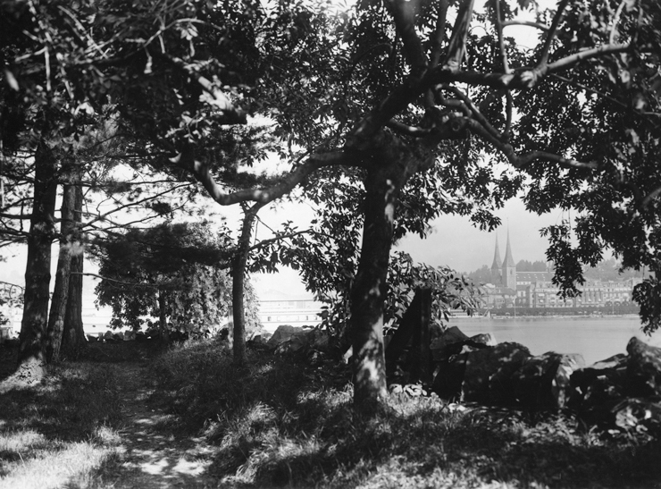 Spätestens seit dem 19. Jahrhundert war das Inseli als Garten gestaltet. Ein Teil des Baumbestands hat inzwischen ein beachtliches Alter. 