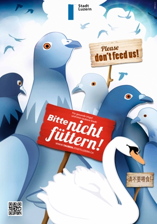 Tauben und Schwaene: Bitte nicht fuettern!