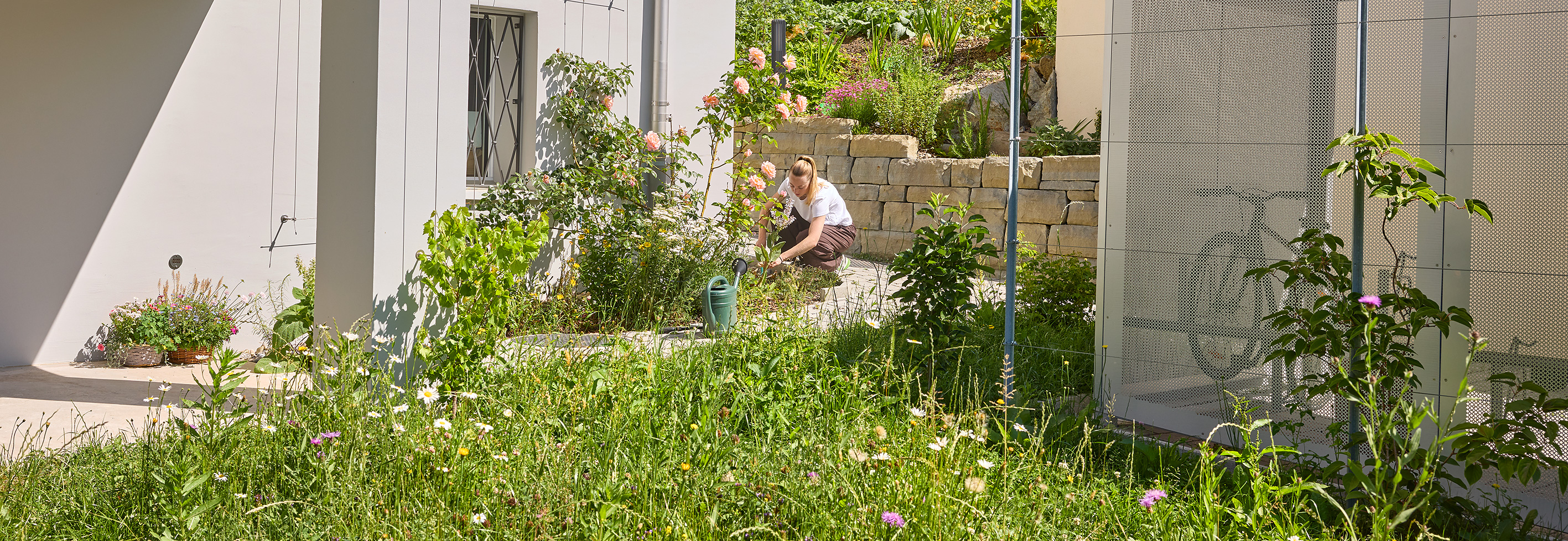 Ein Garten mit Trockensteinmauern. Die Fassade des Hauses ist begrünt.