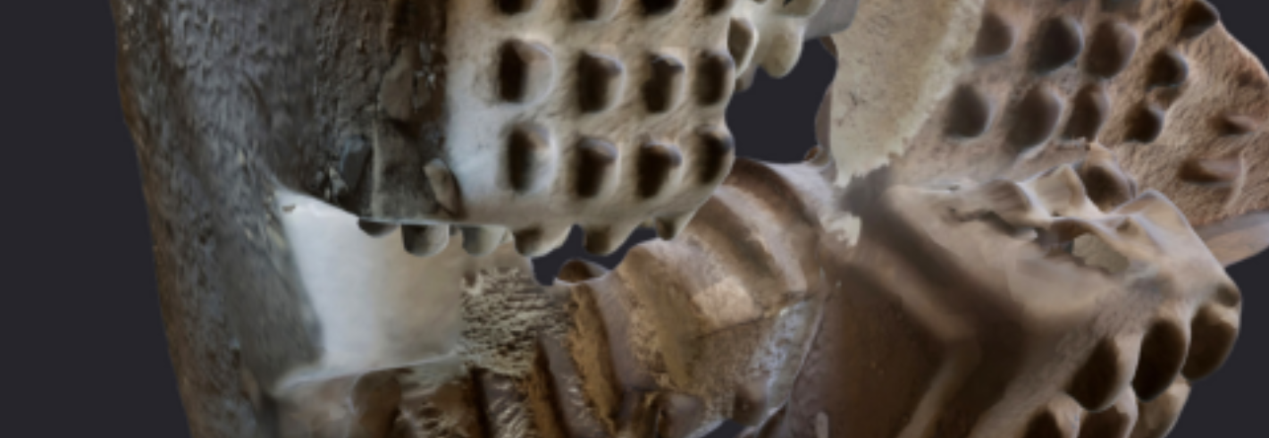 «Untergrundgurren» – Tatjana Erpen