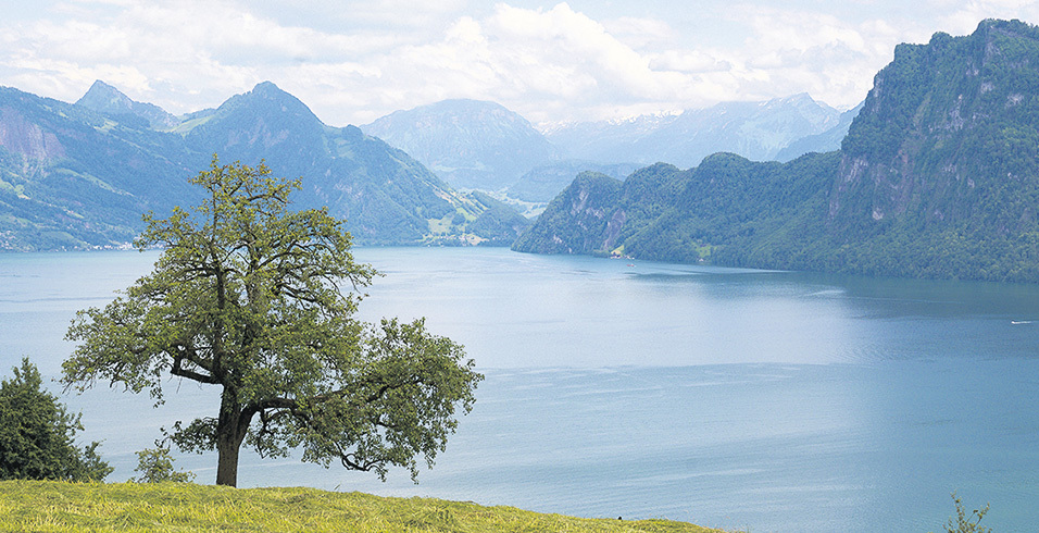 Von der Waldstätte bis nach Santiago