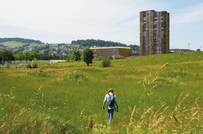 Dokumentarfilm zur Entwicklung der Luzerner Allmend