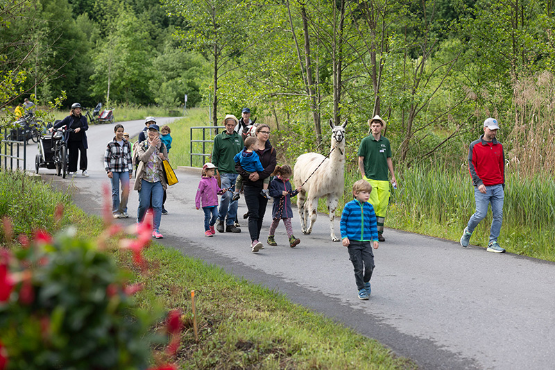 Werkhoftag, 09.05.2026