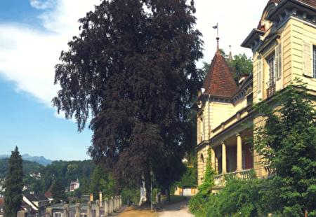 Headerbild Villa Auf Musegg 1