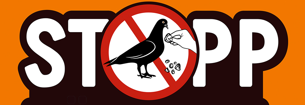 Tauben nicht füttern