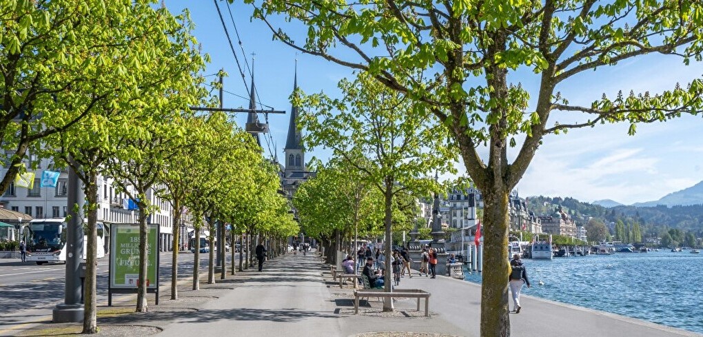 Entsiegelung Schweizerhofquai: Erste Etappe startet
