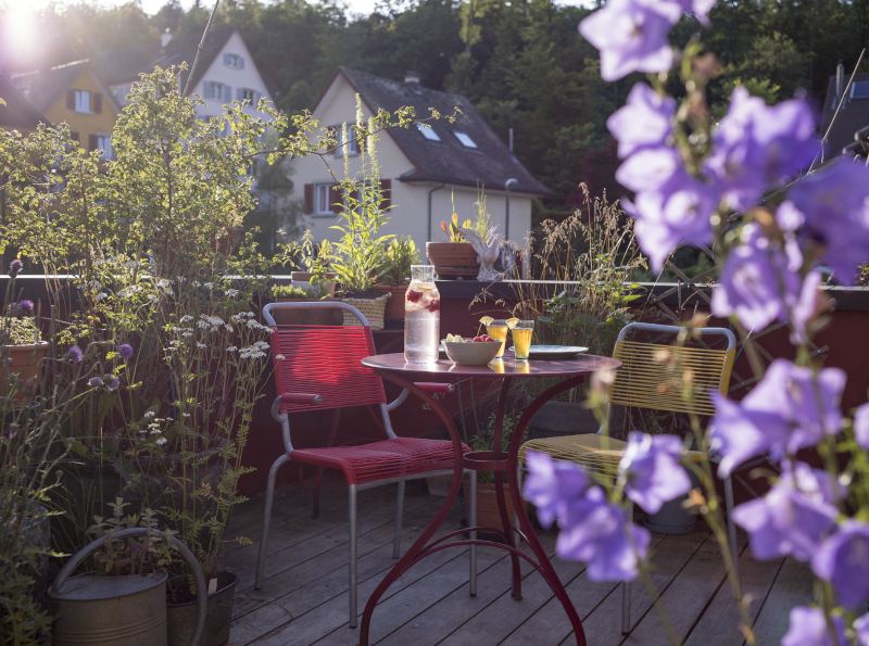 Der Balkon wurde mit einheimischen Pflanzen und Sträuchern von Luzern grünt bereichert.