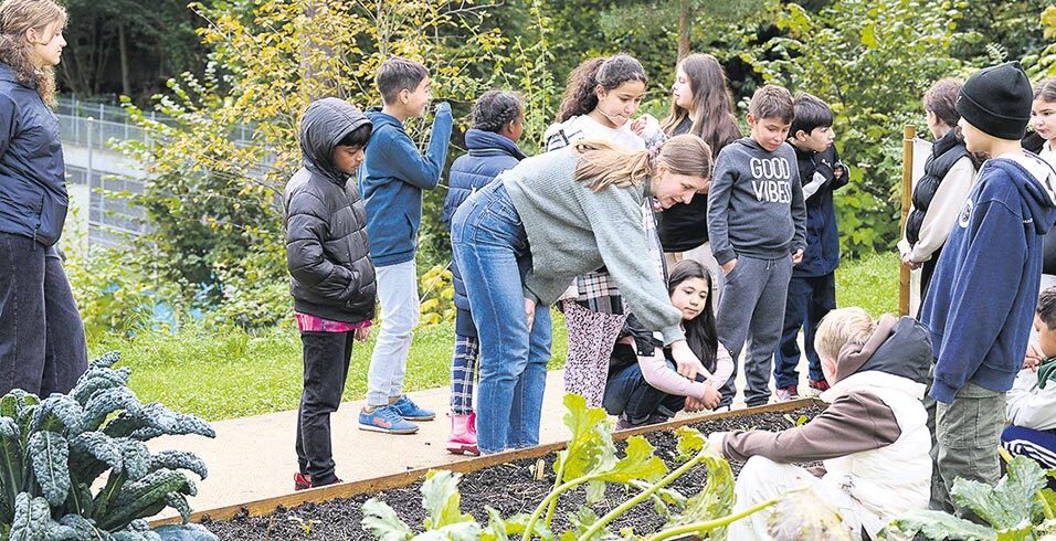 Auch Rüeblikraut schmeckt wirklich gut!