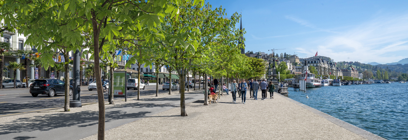 Entsiegelung Schweizerhofquai: Bäume geben den Takt vor