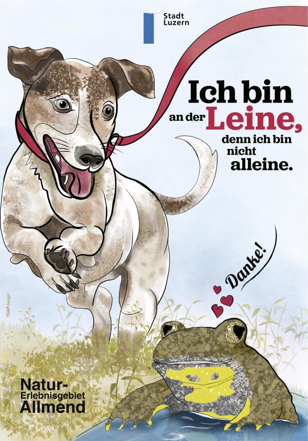 Leinenpflicht Allmend