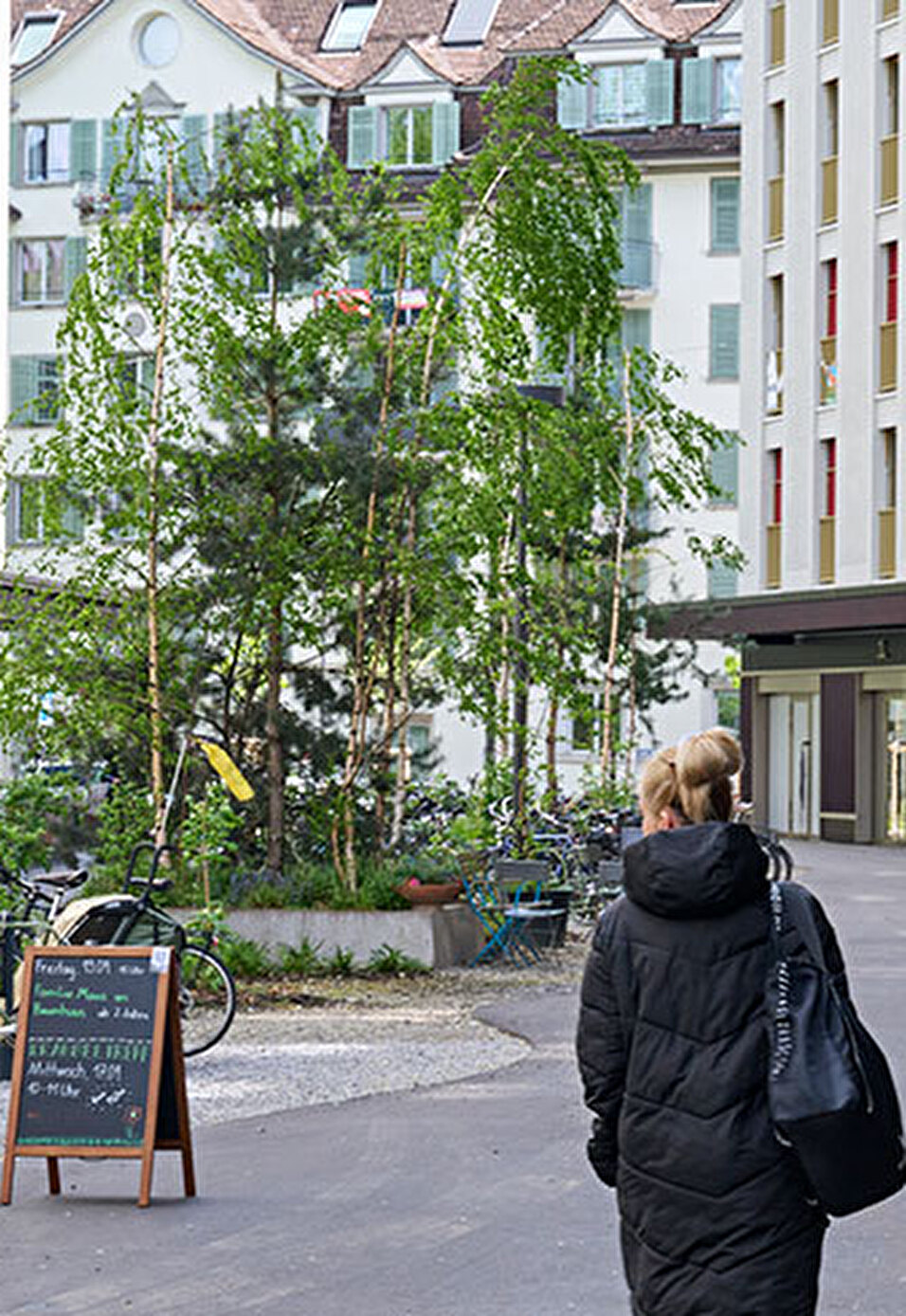 Jedes Jahr ein städtisches Areal ausschreiben