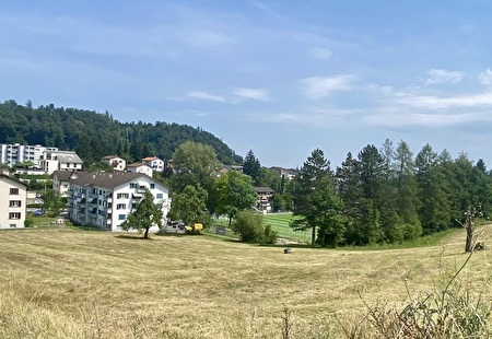 Headerbild Areal «Grenzhof»