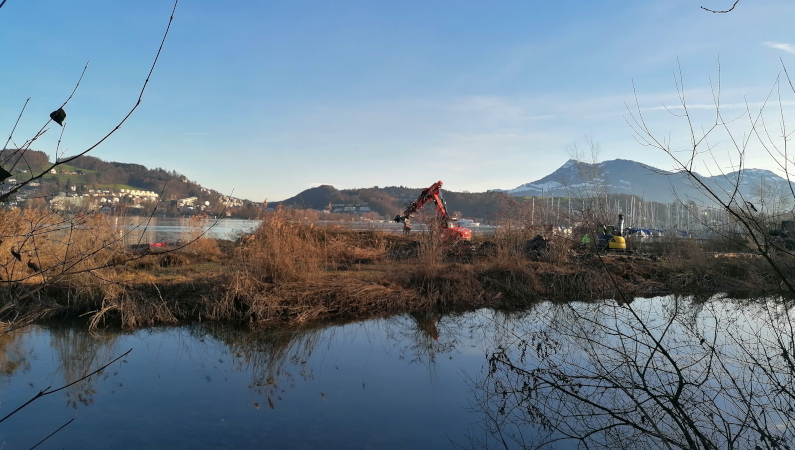 Äste werden zu Bündeln zusammengebunden. Diese Bündel dienen als wertvoller Unterwasser- Lebensraum.