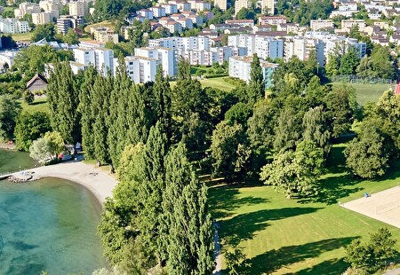 Headerbild Strandbad Tribschen: Sanierung und Aufwertung