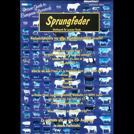 Der Wärchhof gründete einige bis heute andauernde Eventreihen wie den Musik-Wettbewerb «Sprungfeder».