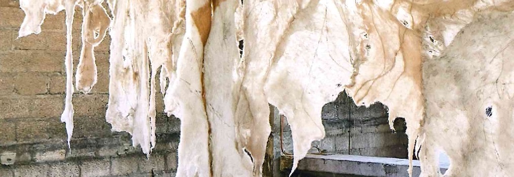Kunstwerk von Claudia Bucher