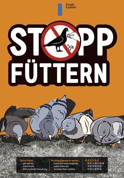 Tauben nicht f?ttern