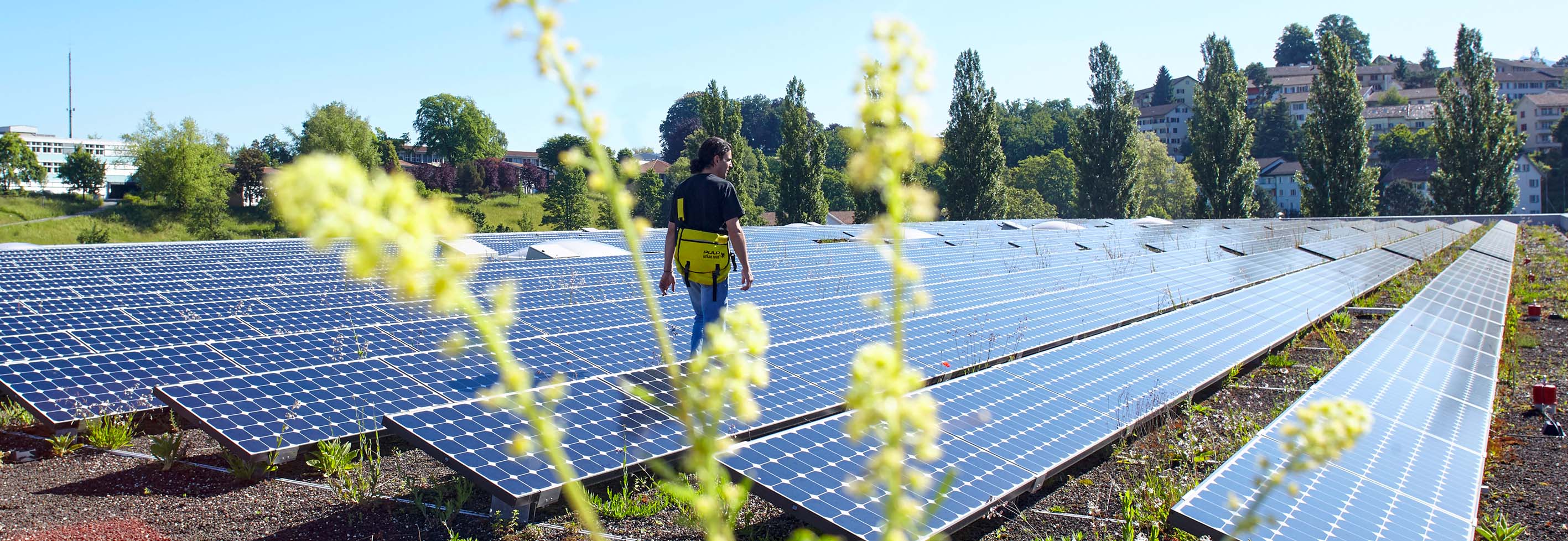 Impuls Umwelt: Beratungsangebot für KMU in der Stadt Luzern