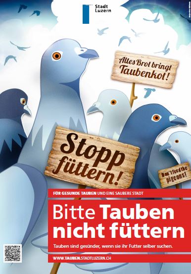 Tauben nicht füttern