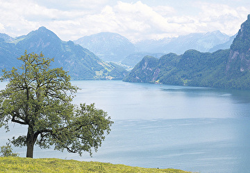 Von der Waldstätte bis nach Santiago