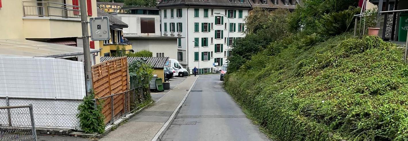 Gesamtprojekt Grenzweg