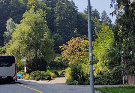 ÖV-Erschliessung Waldstrasse