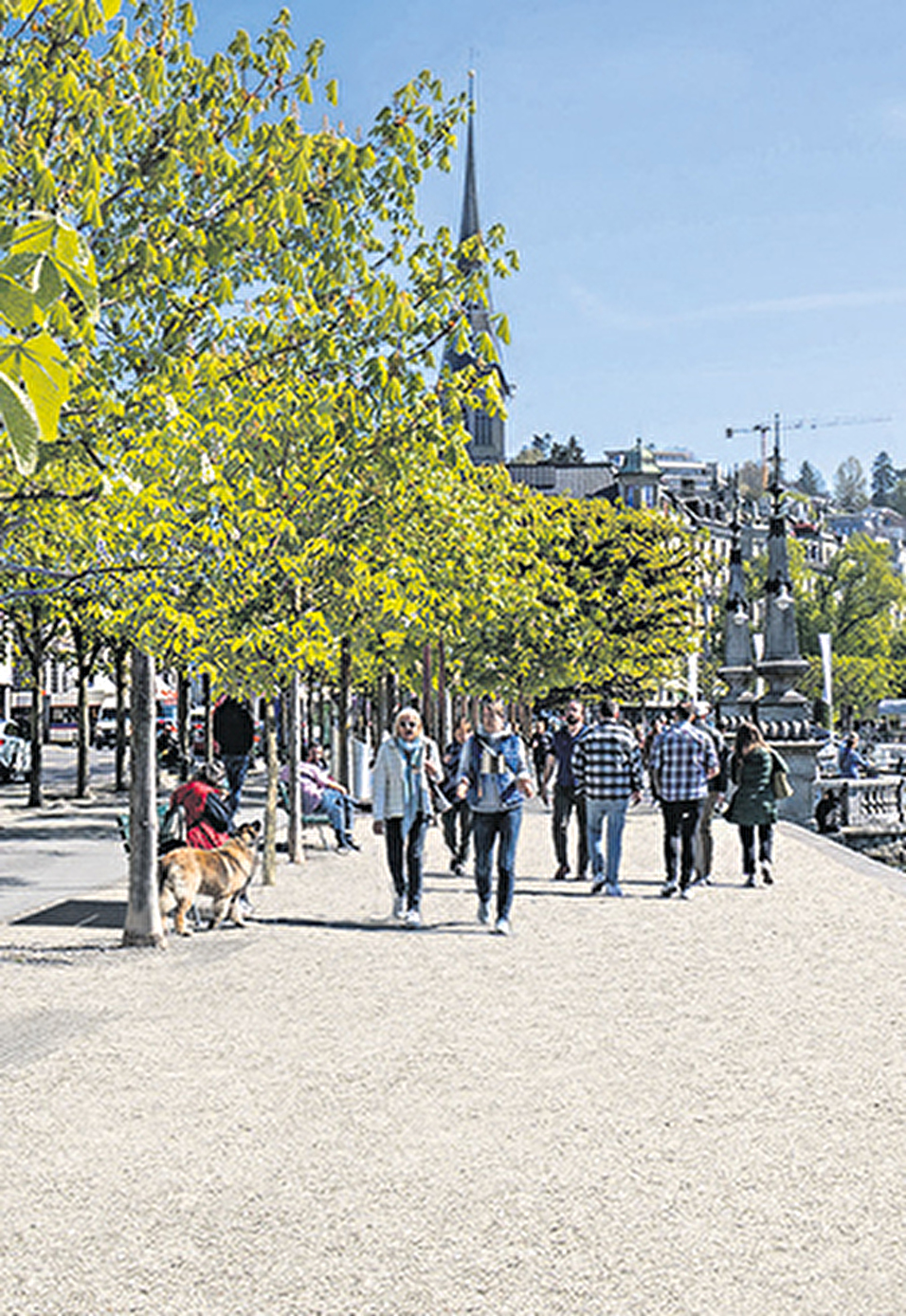 Schweizerhofquai