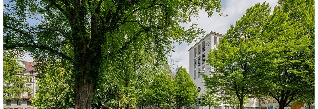 Bau- und Zonenordnung