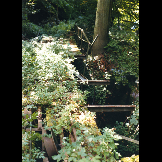 Die Natur eroberte sich das Trassee (immer wieder) zurück, Zustand in den frühen 1990er Jahren.