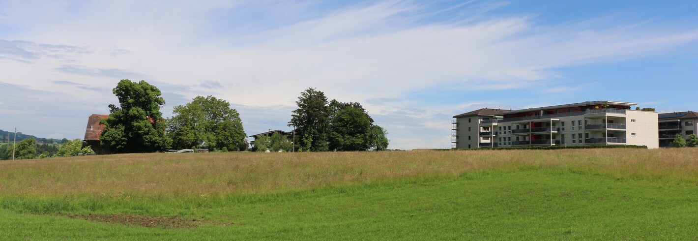 Das Baurechtsareal liegt eingebettet zwischen der bestehenden Siedlung, Bauernhof und Renggstrasse