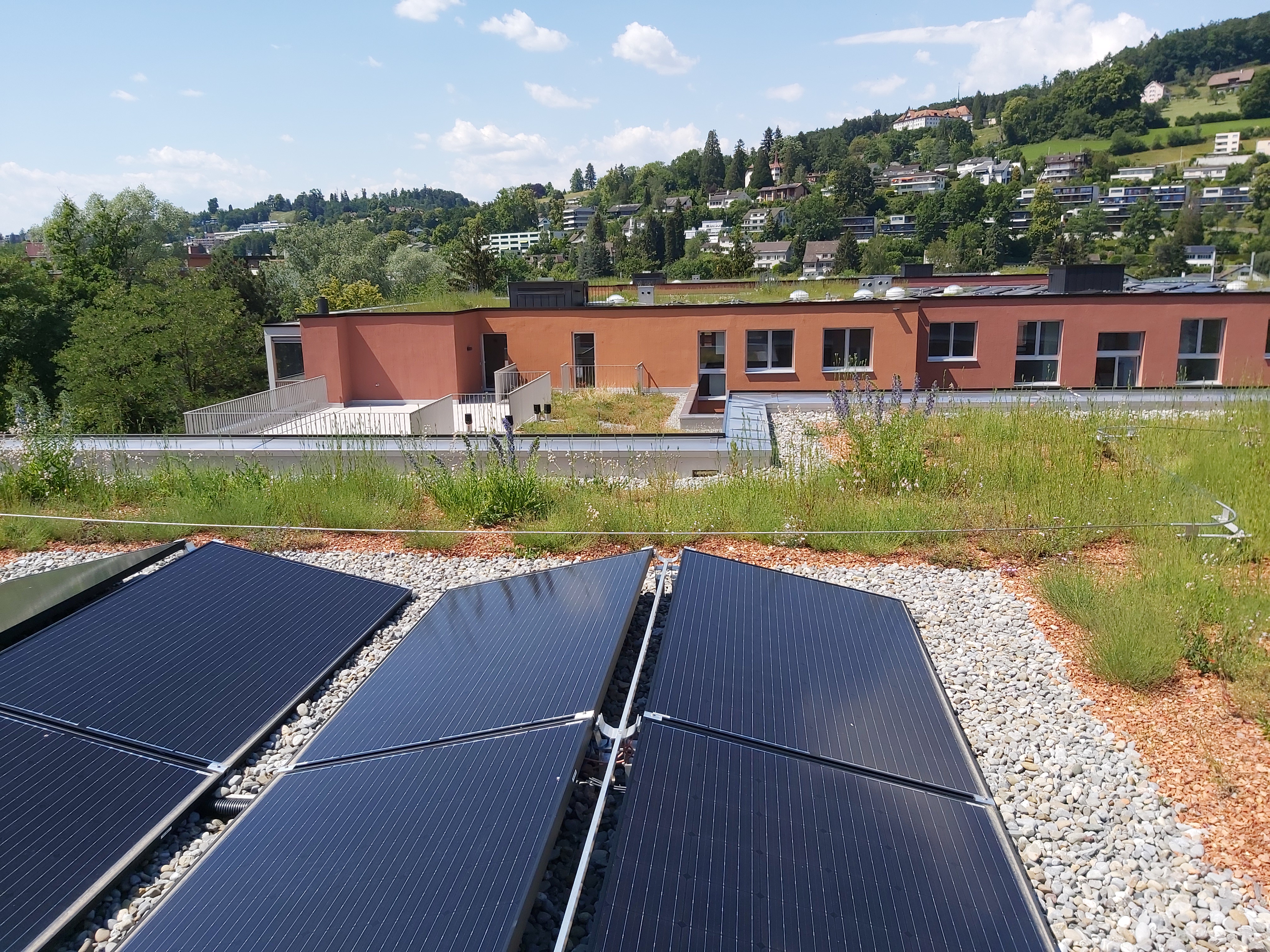 Bellerive-Quartier: Dachflächen mitnutzen: als Kühl- und Versickerungsfläche, für die Biodiversität, zur Energiegewinnung oder als Aufenthaltsfläche.