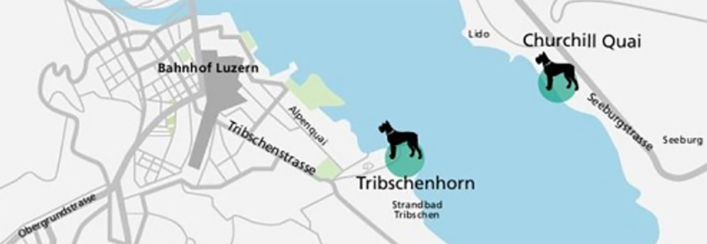 Hundehaltung im öffentlichen Raum