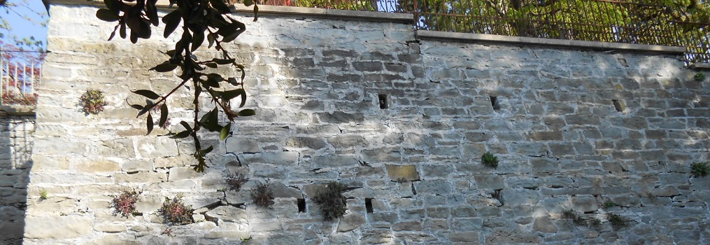 Stützmauer der Museggmauer