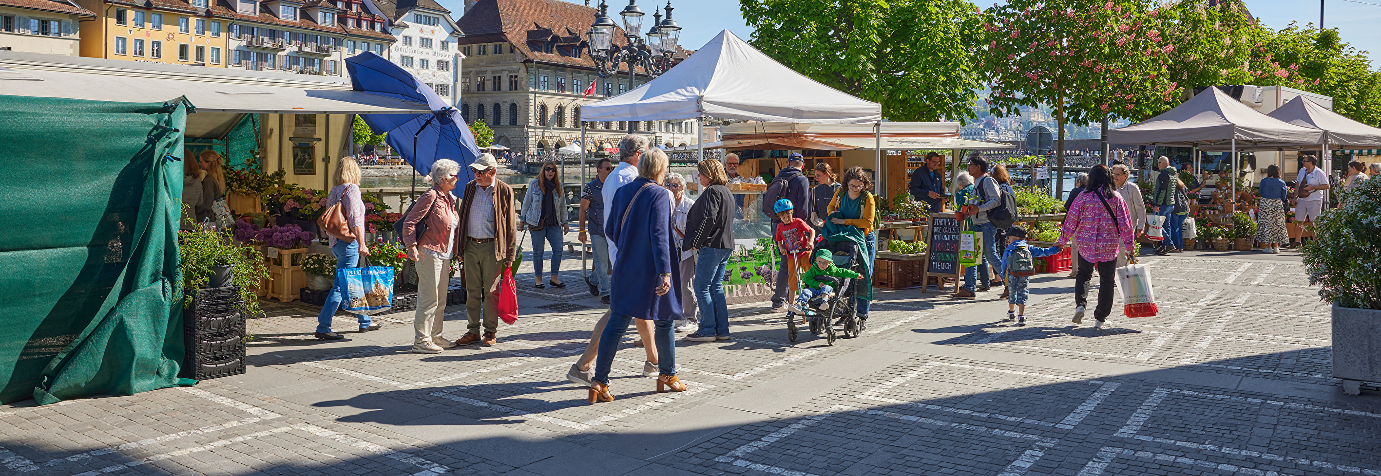 Neues Vergabeverfahren für den Luzerner Wochenmarkt 