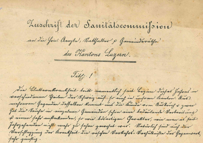 Die «Sanitätscommisssion» hielt 1880 fest, dass «die raschen Verkehrs-Verhältnisse der Gegenwart» für die «Verschleppung der Krankheit sehr günstig» seien.