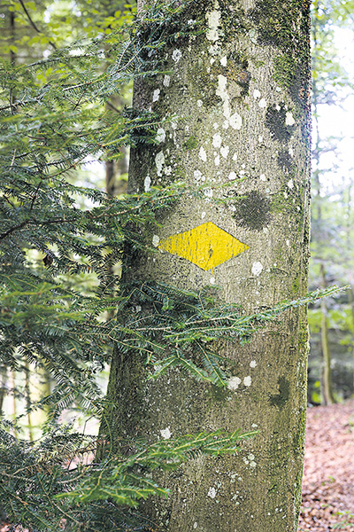 Wanderweg