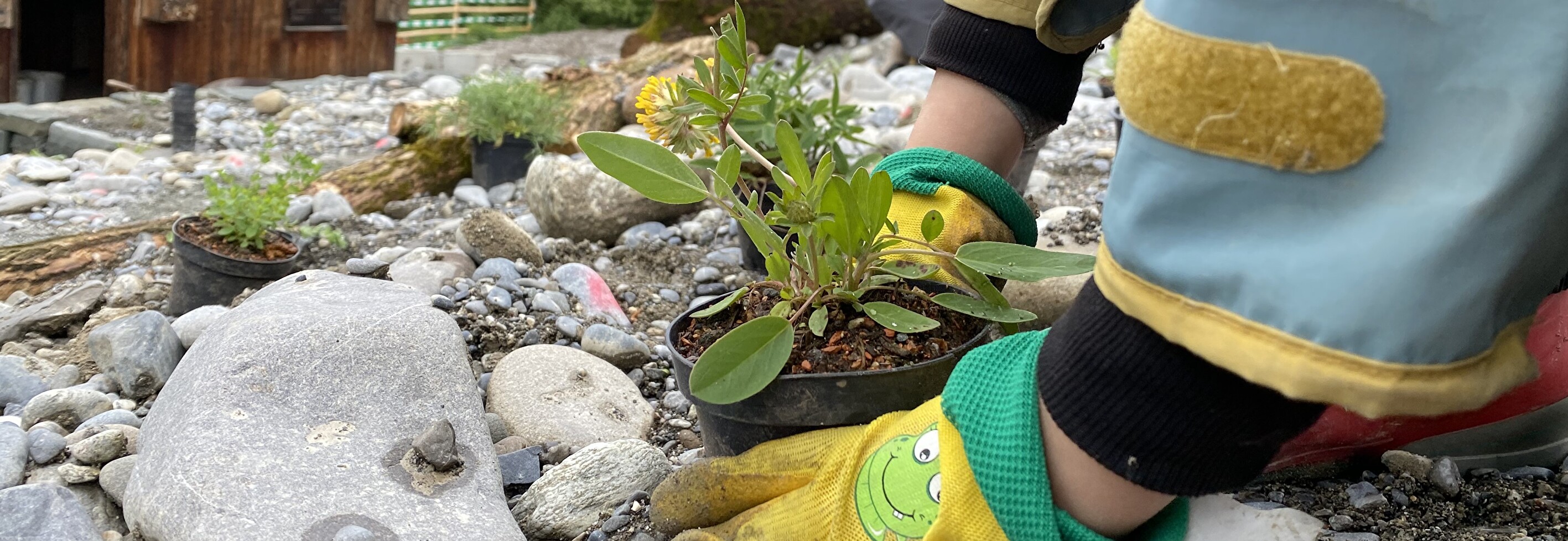 Der erste Schaugarten für Biodiversität wird eröffnet