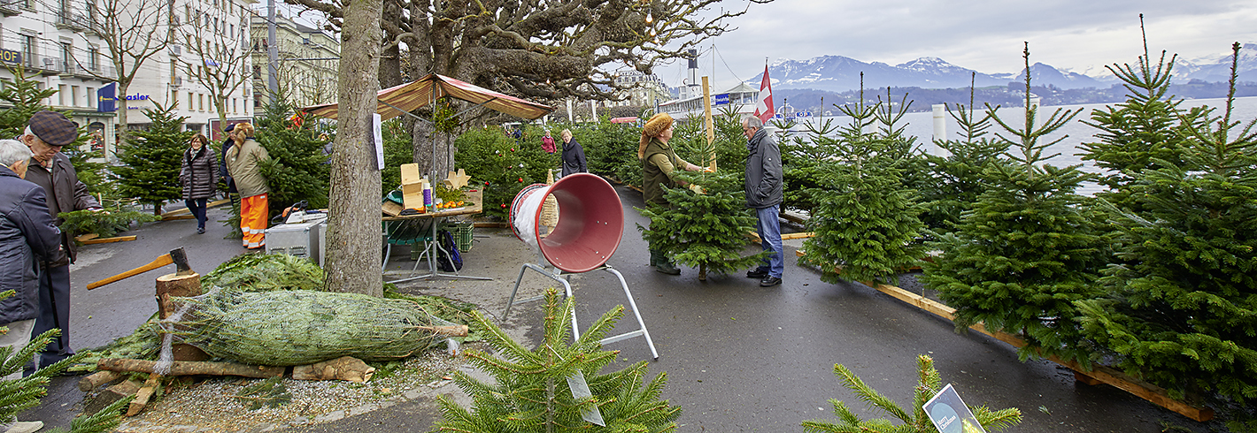 Christbaummarkt