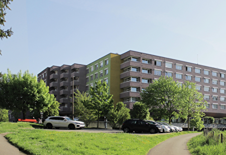 Headerbild Arealentwicklung Staffeltäli 