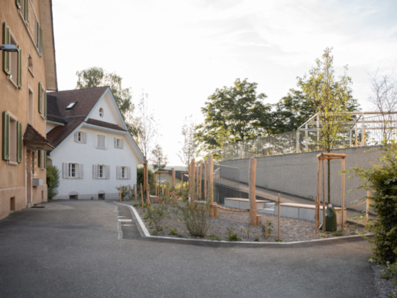 Aussenraum nach den Aufwertungen: entsiegelte Flächen und Pflanzung von Bäumen