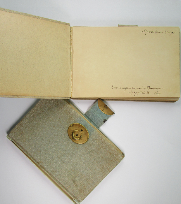 Die handschriftlichen Bände dokumentieren ihren Einsatz im kaiserlich-königlichen Kriegsspital Baumgarten bei Wien.