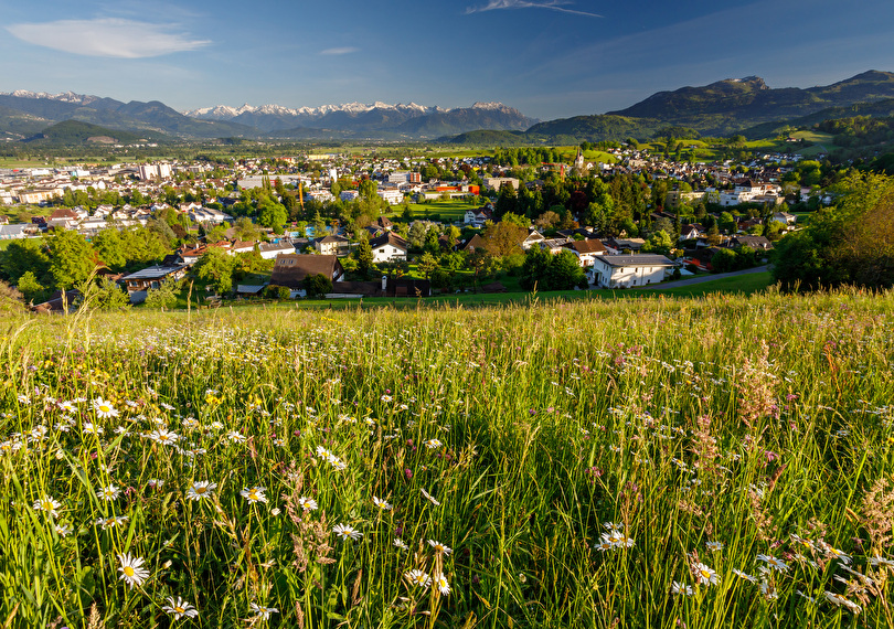 Altstätten von Oben